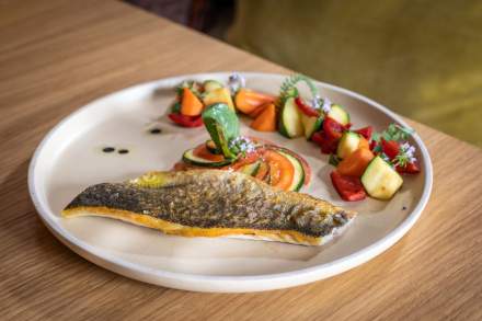 Restaurant bistronomique Dieulefit, Drôme · les Sources de Dieulefit